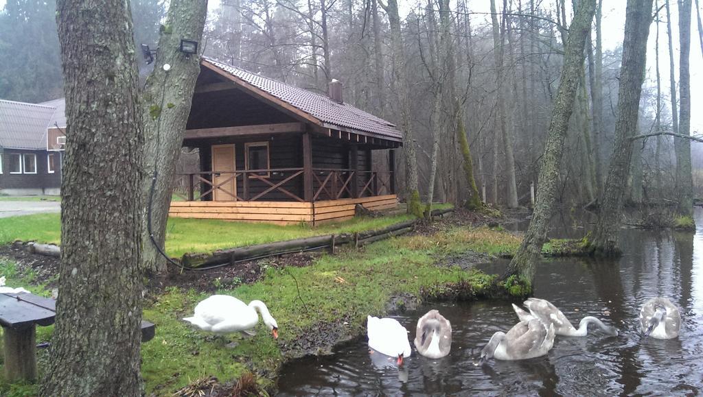 Affittacamere Poilsio baze Latežeris Esterno foto