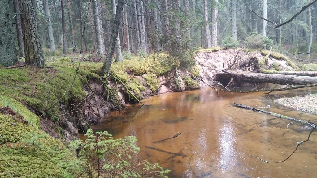 Affittacamere Poilsio baze Latežeris Esterno foto